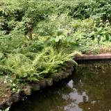 Beplanting