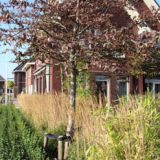 Tuin te Berkel en Rodenrijs